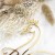 Coliberstore_graNart-470n.jpg